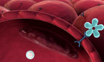 Resistencia a la insulina y su relación con la prediabetes: todo lo que necesitas saber